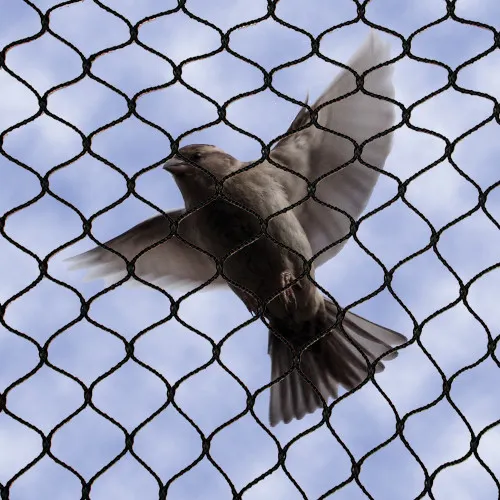 Bird Netting Solutions Services Team
