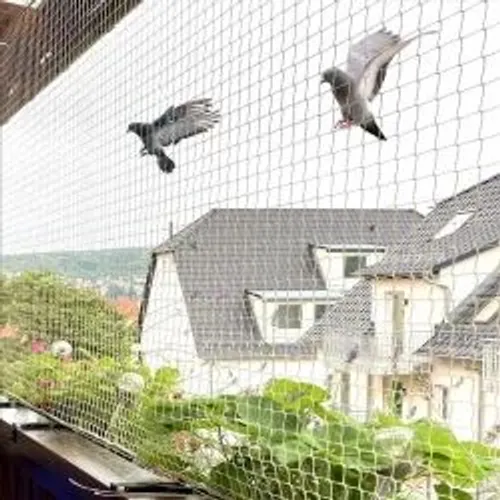 Bird Netting Installation