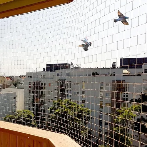 Building Protection Nets